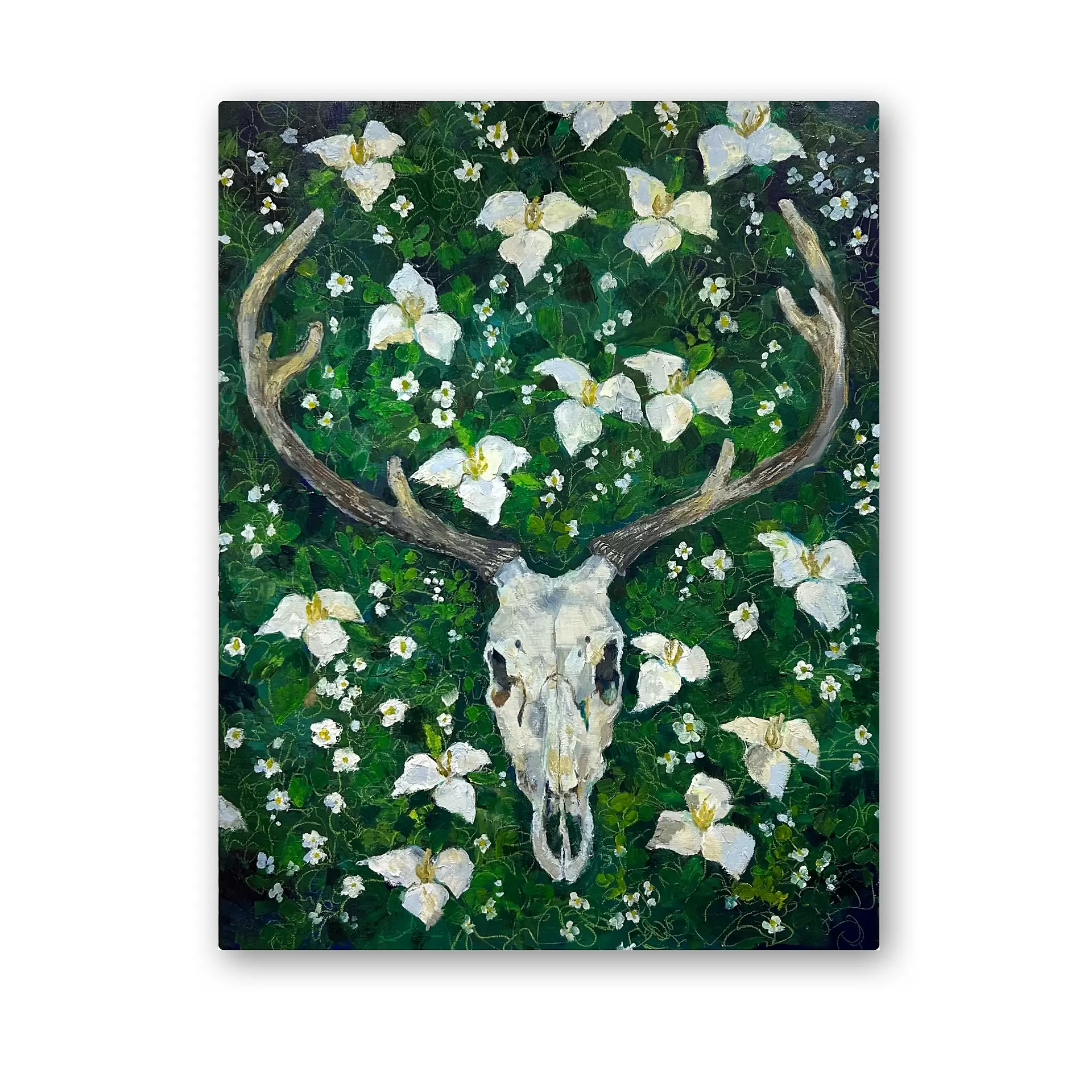 おおばさくら のアート作品 | 現代アートの販売・通販 | ArtSticker