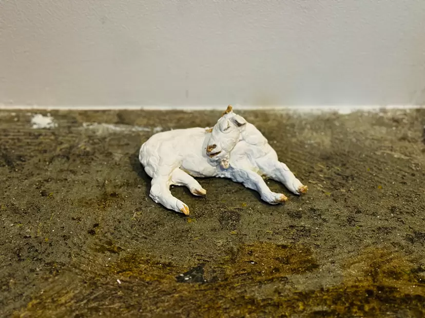 Einstein (Michihiko)    by ゆべしス