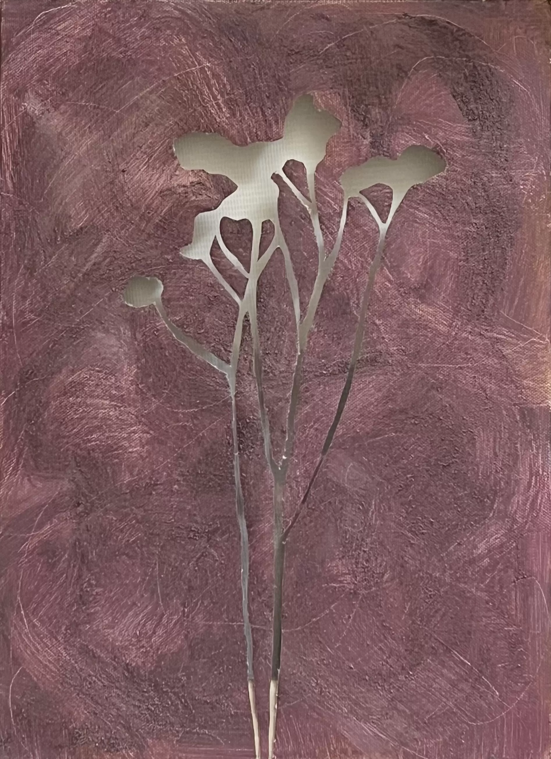 fragrance (statice)