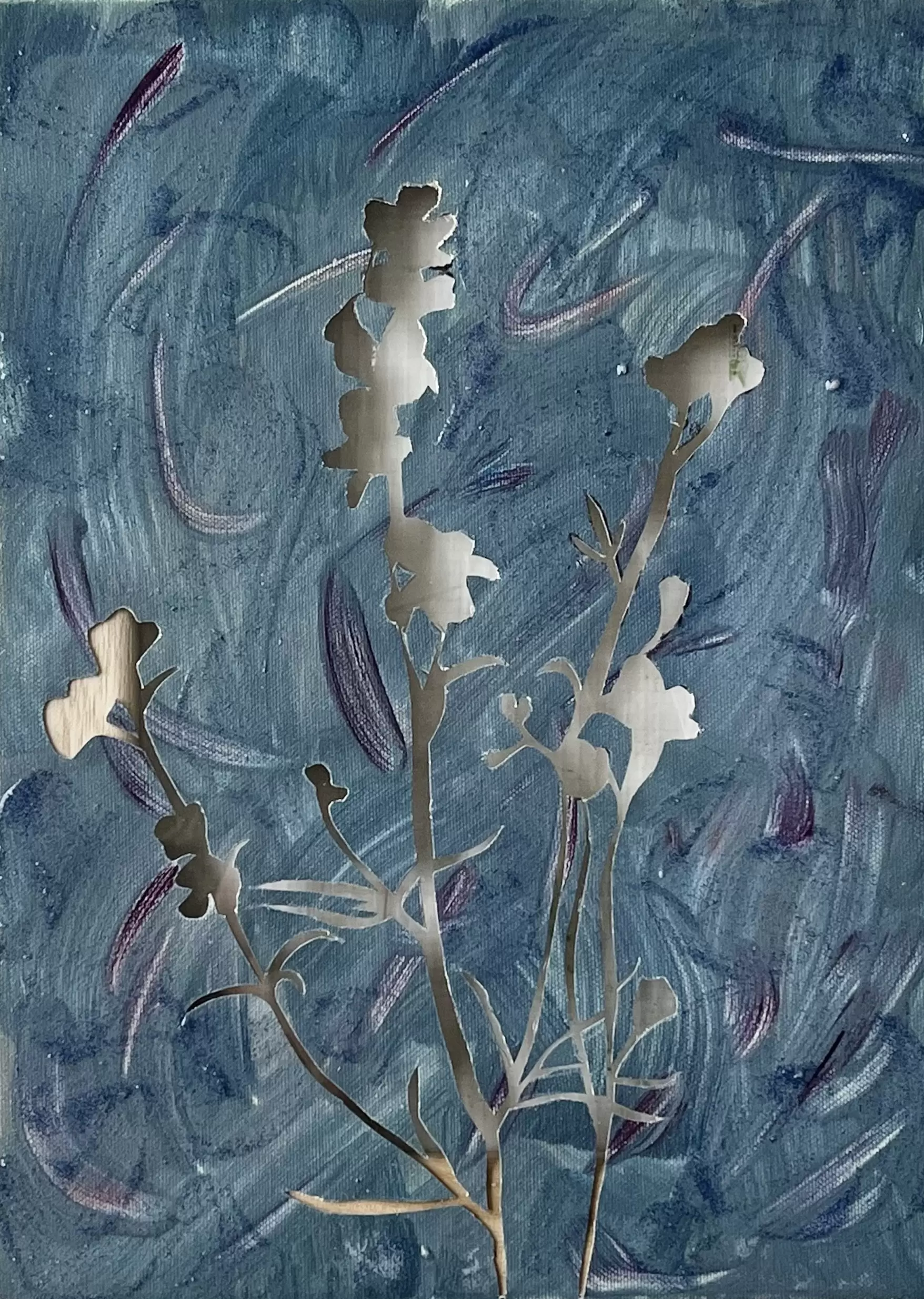 fragrance (delphinium)