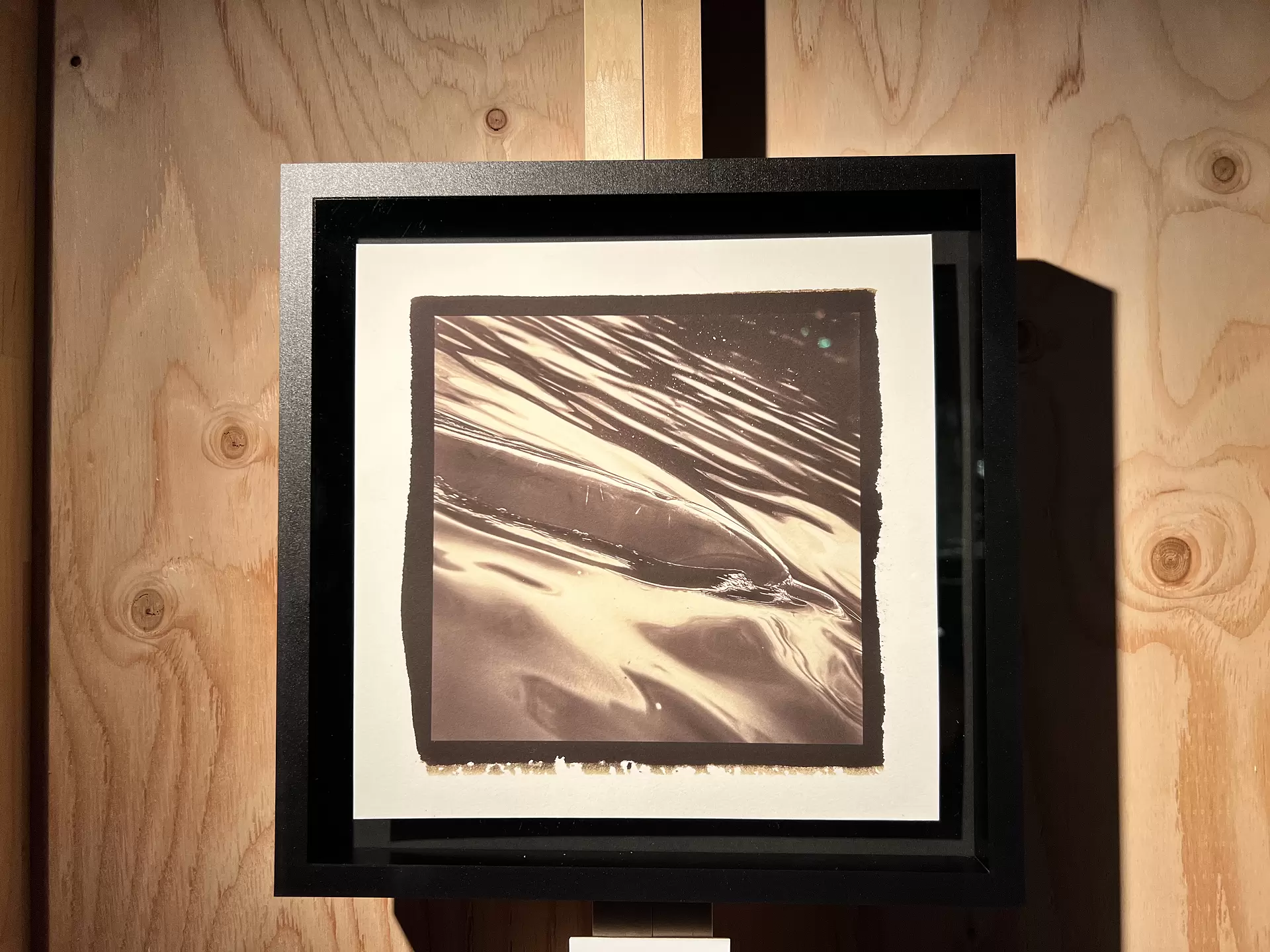 質量への憧憬 イルカ No.4 by 落合陽一 | 現代アートの販売・通販