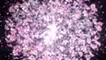 Crystal Flowers