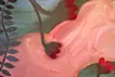 遠くにいってしまった