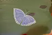 遠くにいってしまった