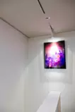 magenta castle