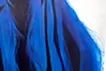 Blueness 084