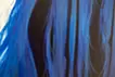 Blueness 084