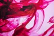 figure44"flame"