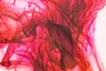 figure45”dusk"