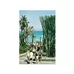 『 Tourist 』