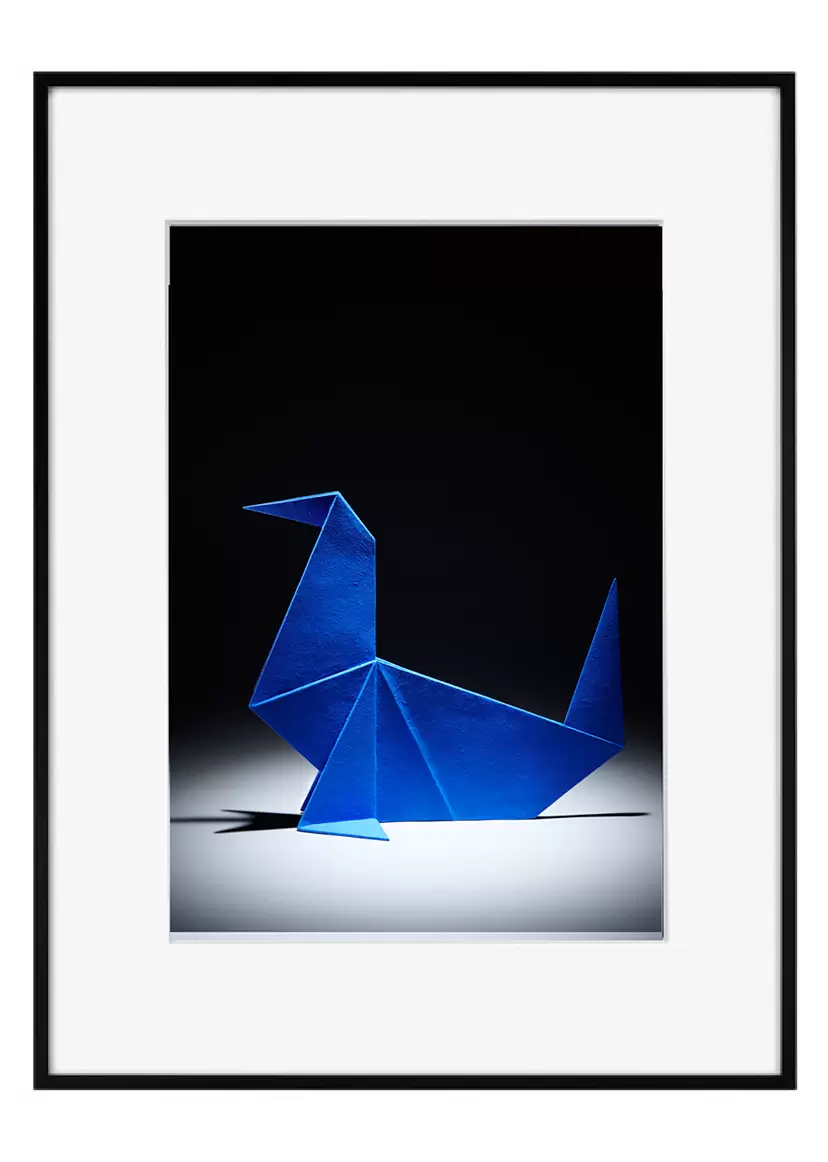 Untitled by 上田 義彦 | 現代アートの販売・通販 | ArtSticker Untitled by 上田 義彦 | 現代アートの販売・通販 | ArtSticker