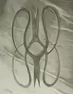 scissors