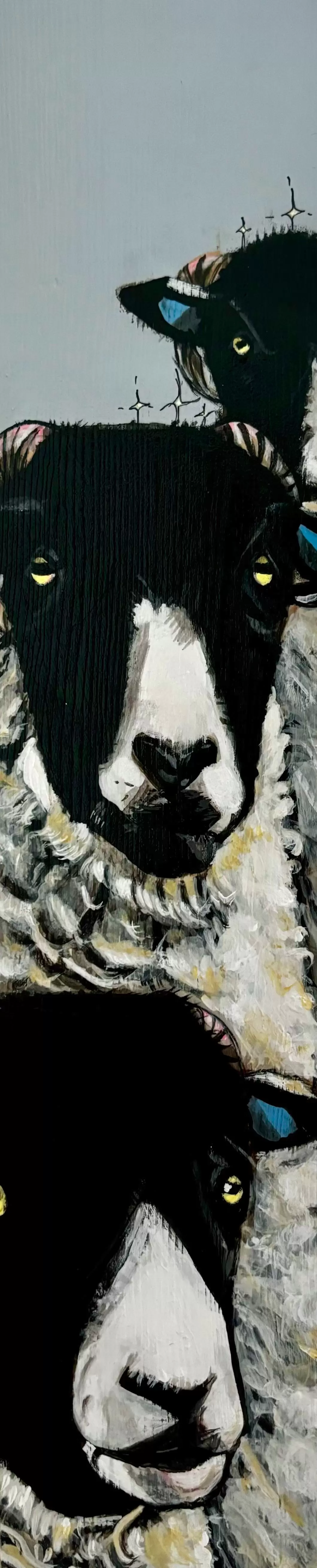 The Sheep