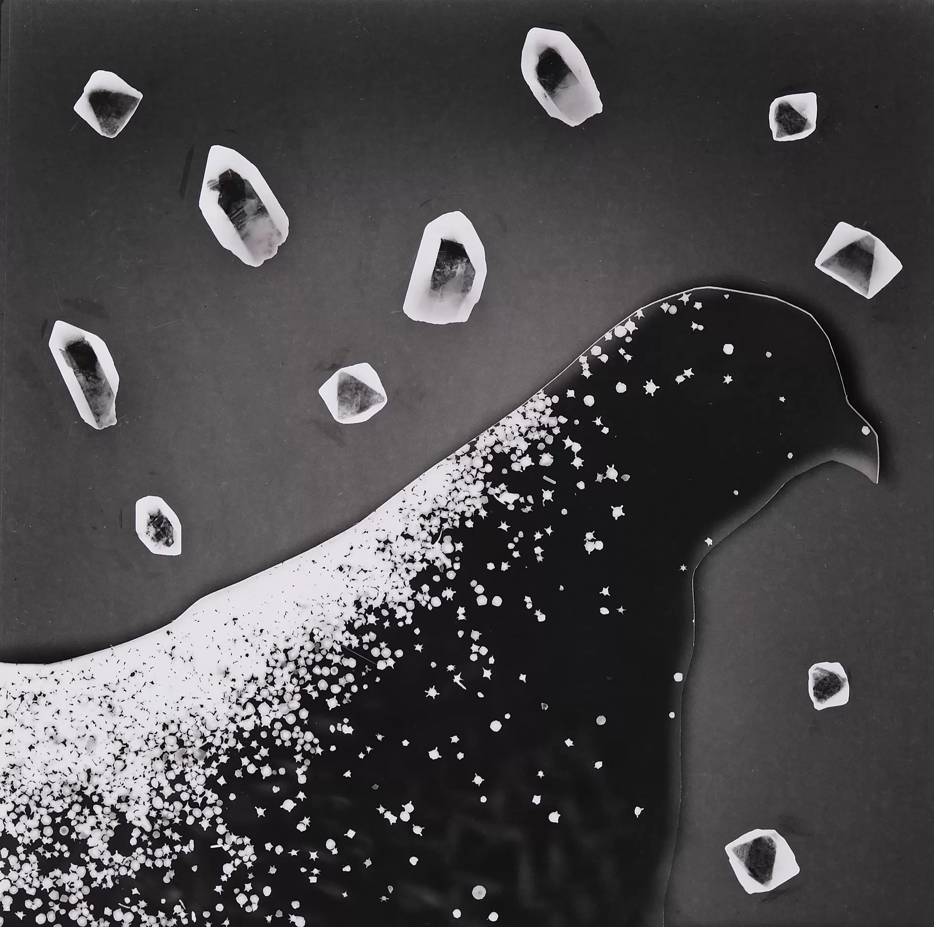 Crystal Photographs#6-2 よだかの星
