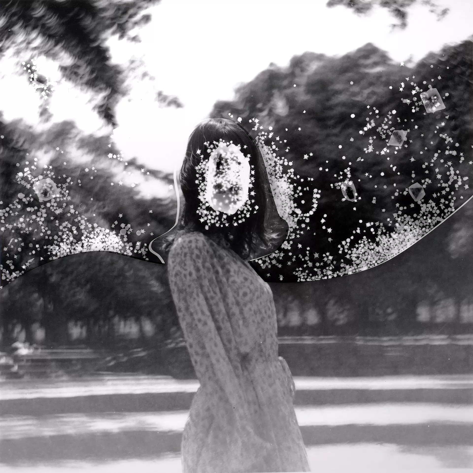 Crystal Photographs#14-1  まなざし No.1
