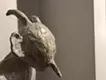 sheep man