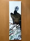 濡れ鵜