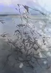 これから