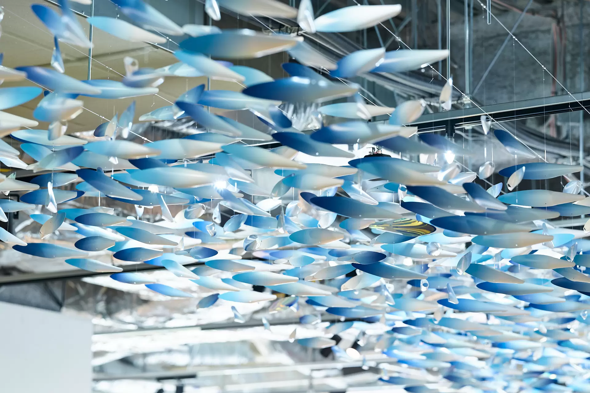 54515_171275111227957_x.webp?