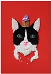 Cupcake & Cat _ I love cupcakes! _*cat is a honeycomb cat* 