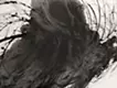 Hand in the net