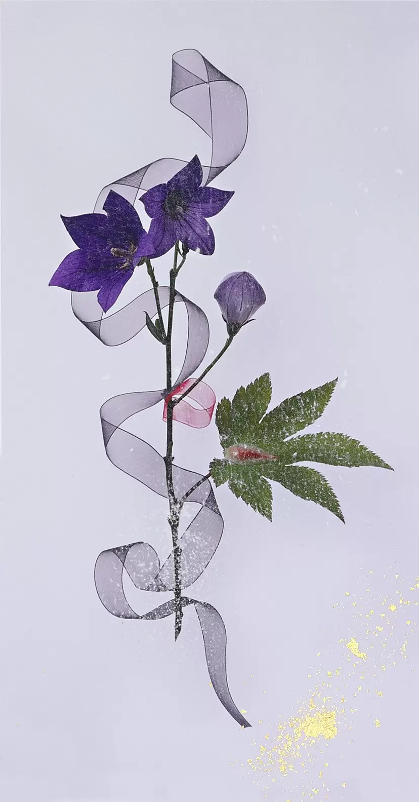 Passionate and equanimity by KAO'RU Shibahara (柴原 薫)
