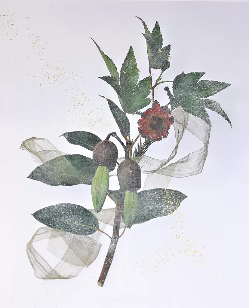 Healing Greens by KAO'RU Shibahara (柴原 薫)