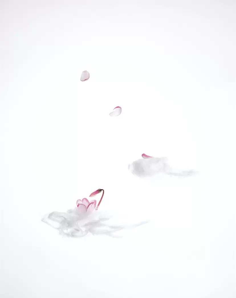 Sky Nymph F ～white cloud　 by KAO'RU Shibahara （柴原　薫）