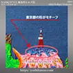 Tokyo Tortoise