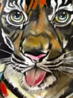 New Tiger