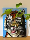 New Tiger