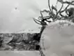 fabulation over matter