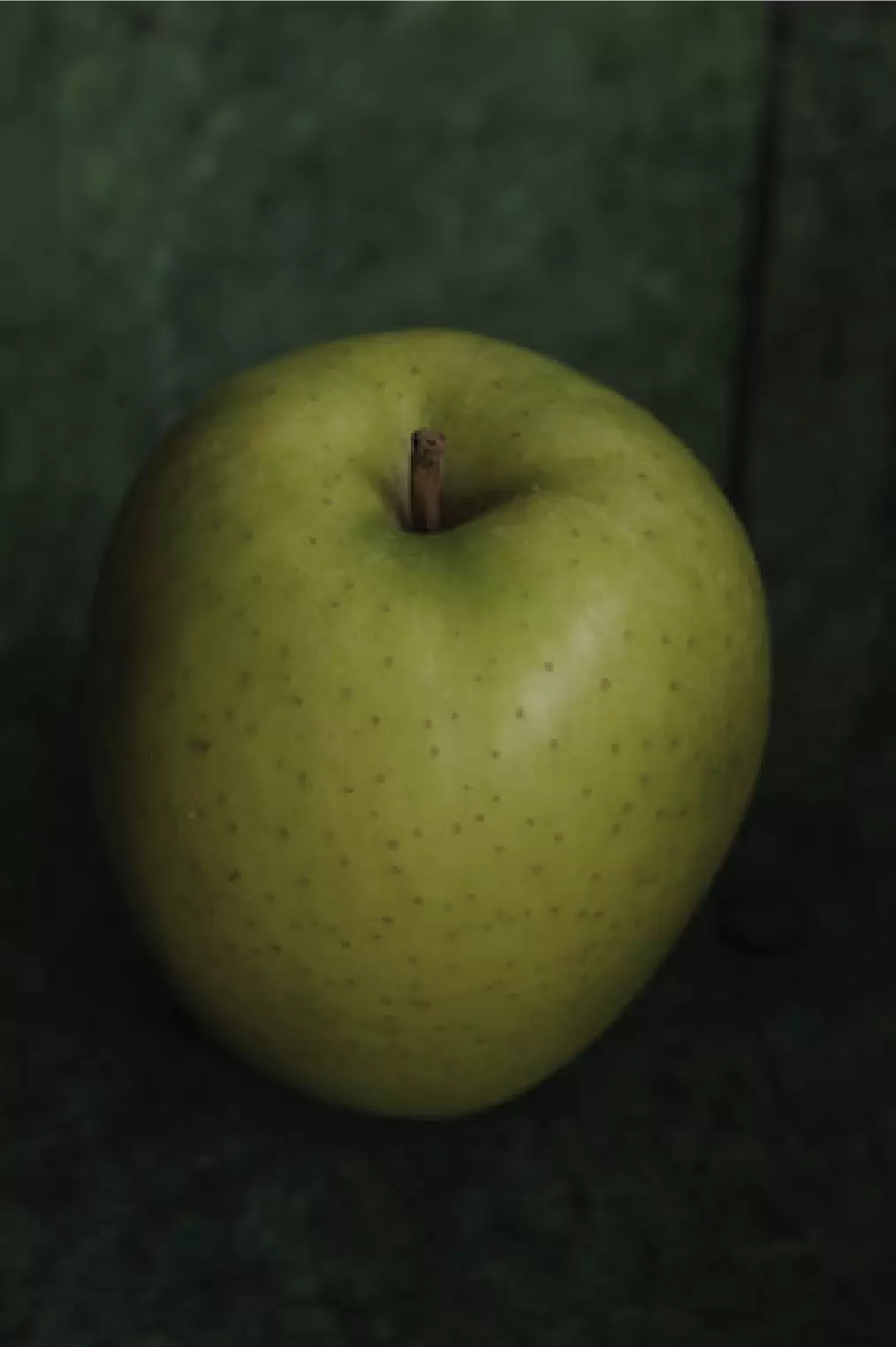 アート・デザイン・音楽 At  Yoshihiko Ueda Yoshihiko Ueda @yoshihikouedaofficial From the Hip 上田義彦