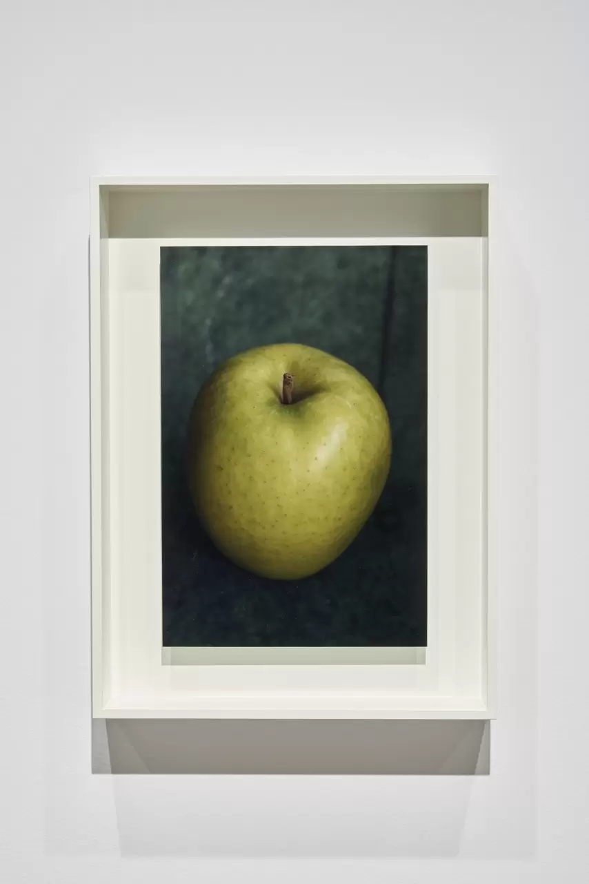 Untitled by 上田 義彦 | Online art store for contemporary