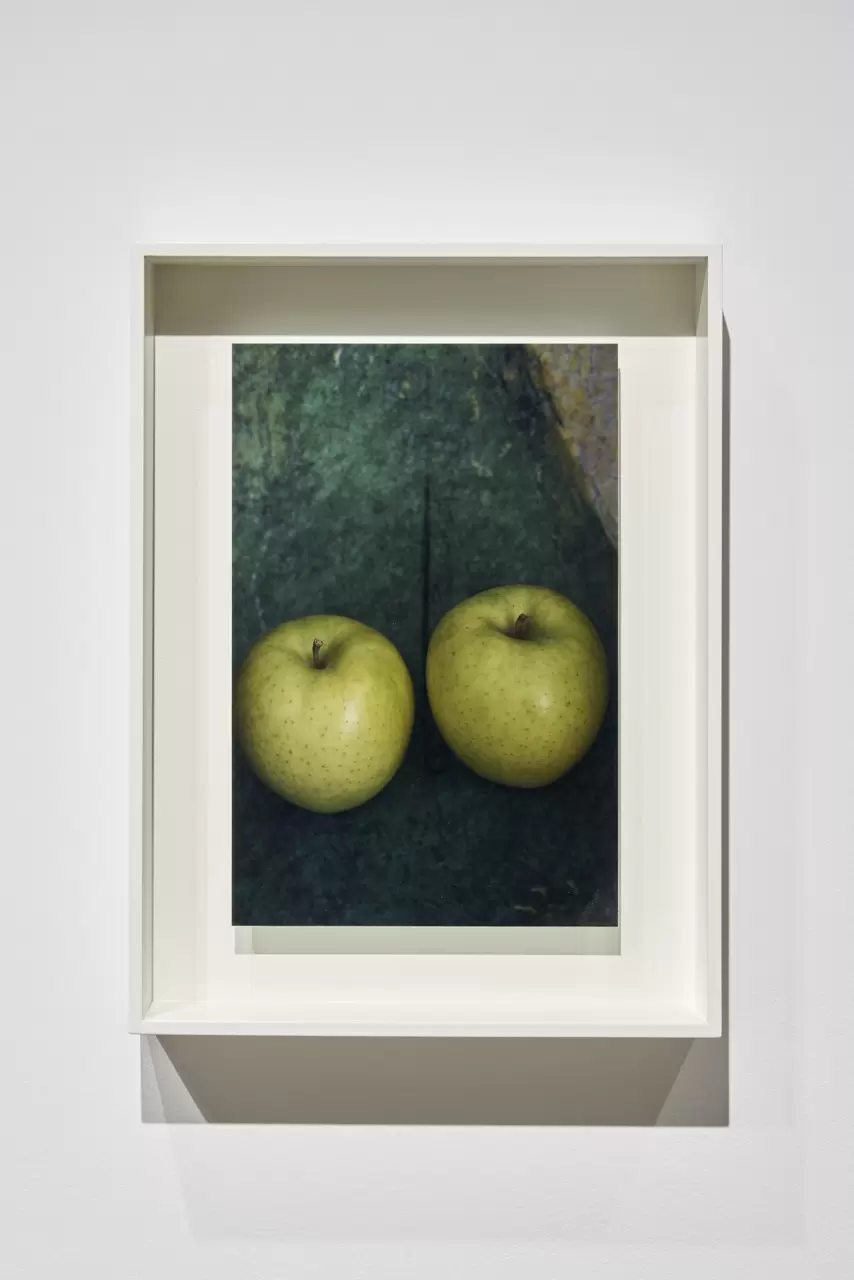 Untitled by 上田 義彦 | 現代アートの販売・通販 | ArtSticker