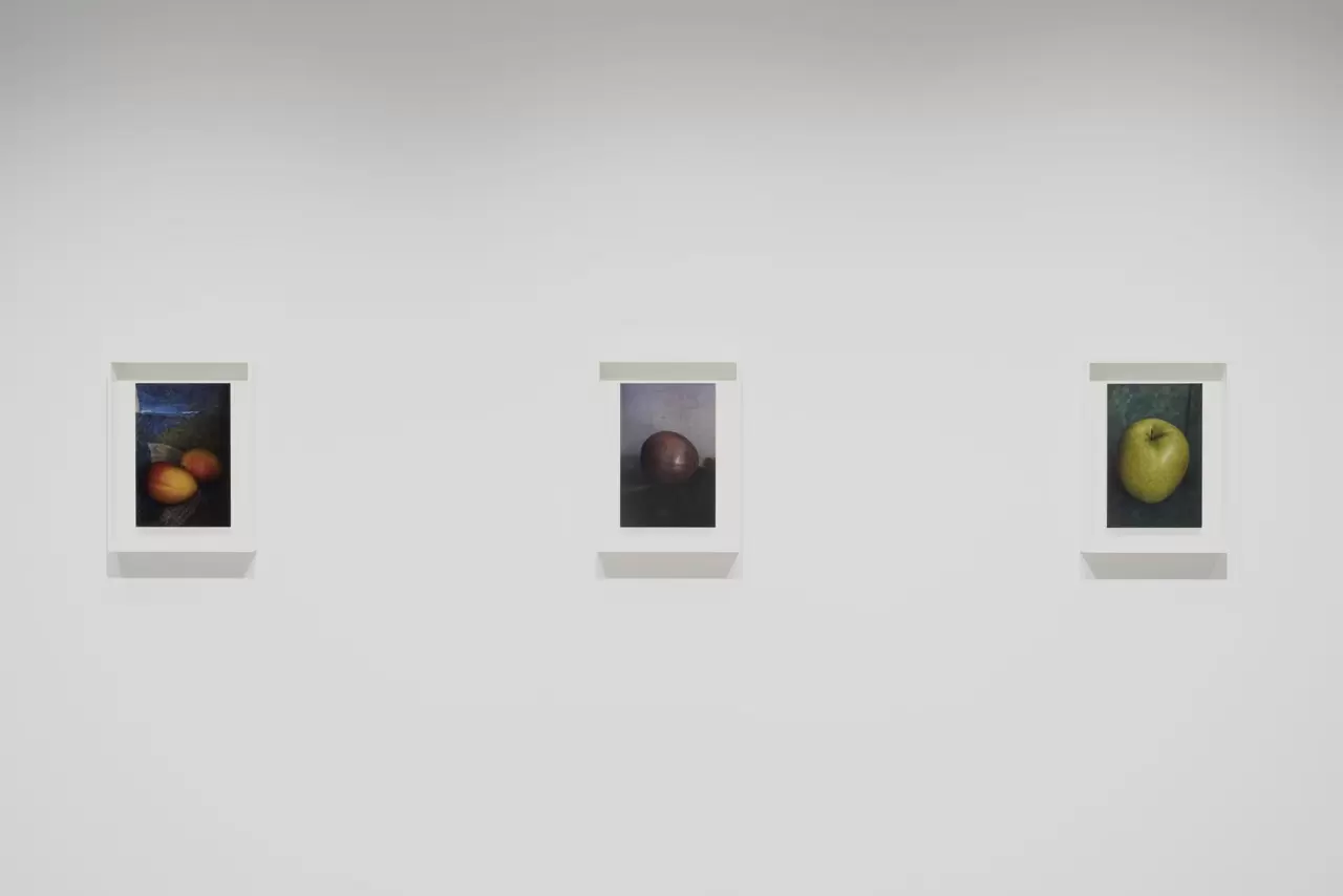 Untitled by 上田 義彦 | 現代アートの販売・通販 | ArtSticker