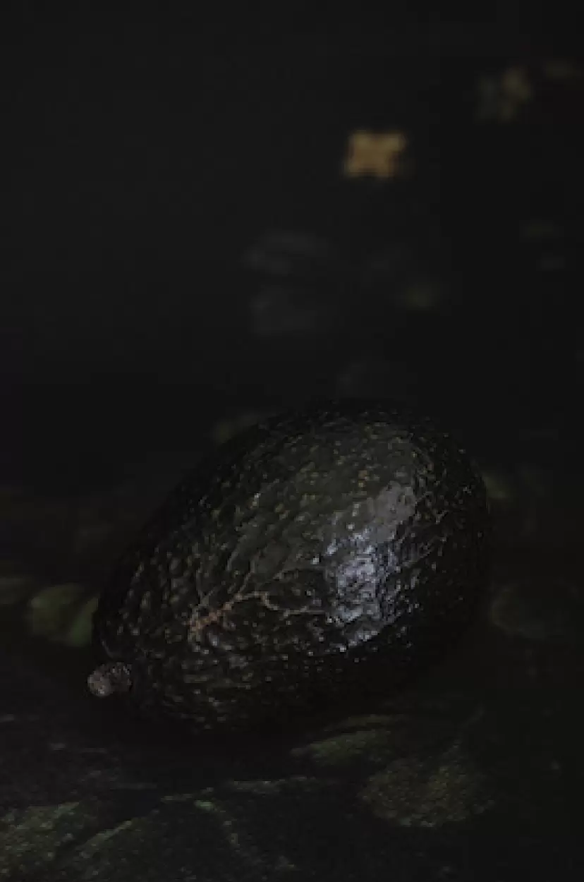 Untitled by Yoshihiko Ueda