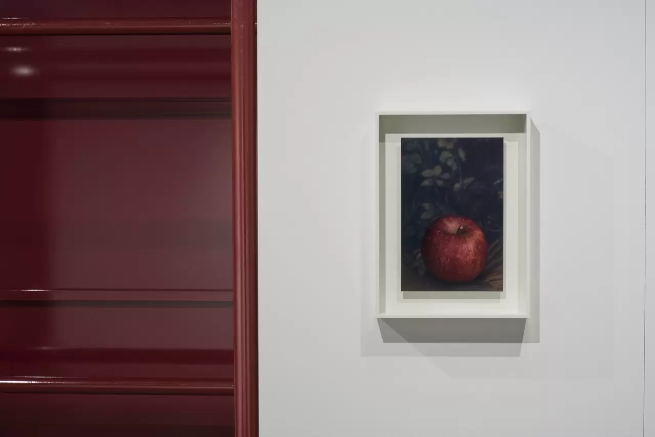 Untitled by 上田 義彦 | 現代アートの販売・通販 | ArtSticker Untitled by 上田 義彦 | 現代アートの販売・通販 | ArtSticker