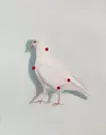 Mark