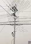 Line3