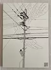 Line3