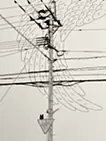Line3