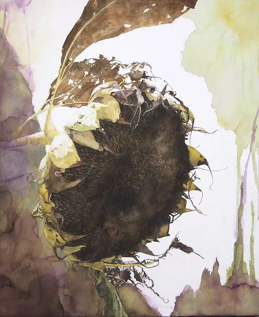 Sunflower by Shiyori Ishii