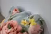 木彫りの熊
