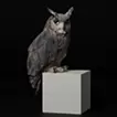 Water source - eagle owl