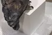 Water source - eagle owl