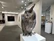 Water source - eagle owl