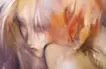 feather