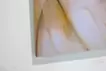feather