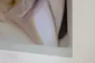 feather